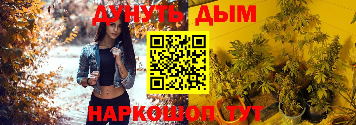 Бошки Шишки SATIVA & INDICA Протвино